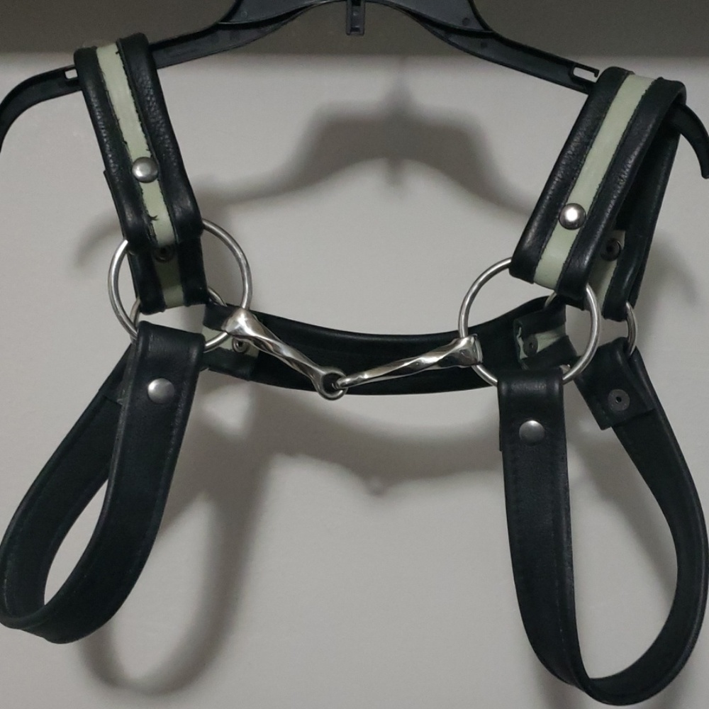Leather Chest Harness